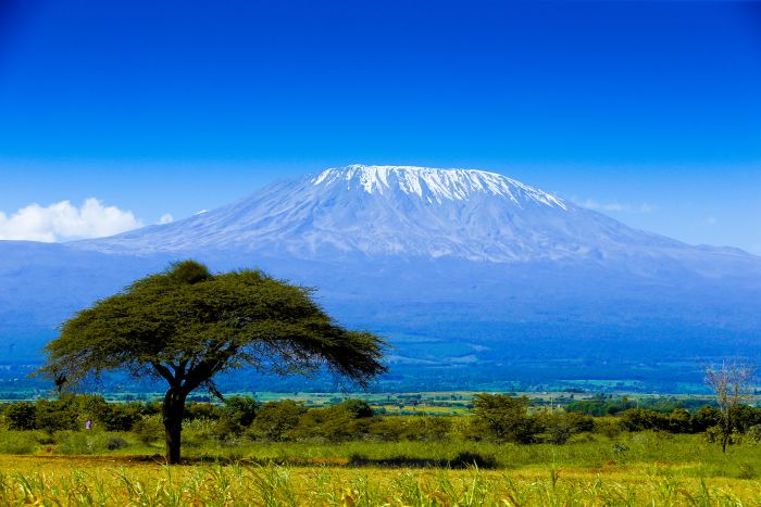 Classic Kilimanjaro mountain