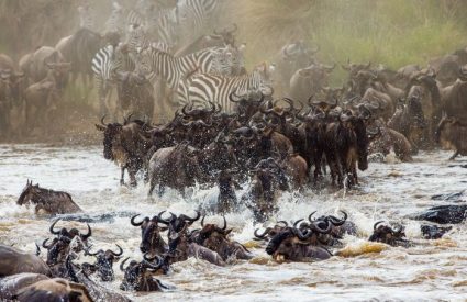 Where to go in Africa in May, June and July