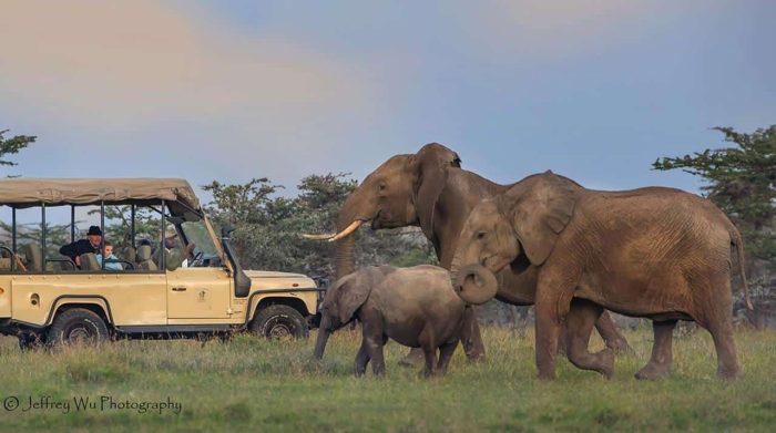Cedarberg Travel | Porini Rhino Camp