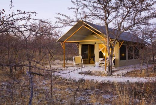Mushara Bush Camp
