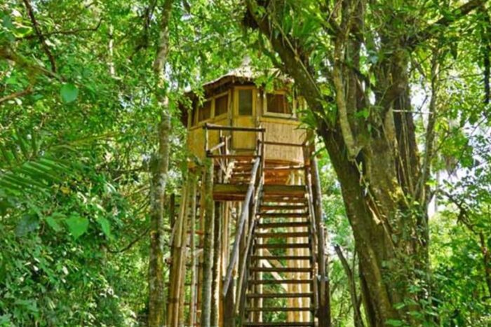 Cedarberg Travel | Primate Lodge Kibale