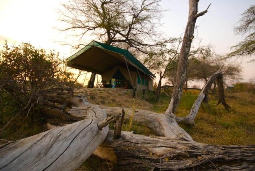 Lake Manze Tented Camp