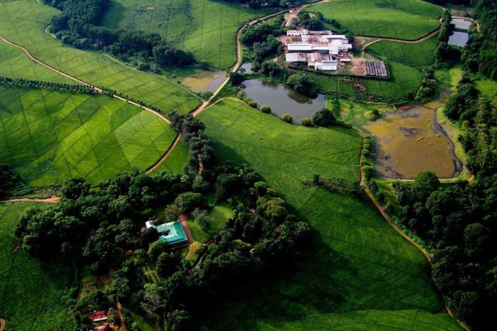 Cedarberg Travel | Huntingdon House