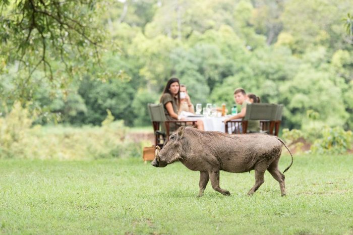 Cedarberg Travel | Cleopatra Mountain Farmhouse