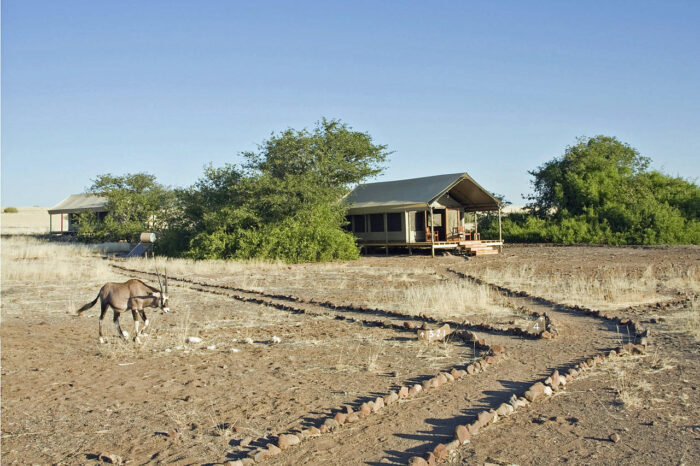 Cedarberg Travel | Desert Rhino Camp