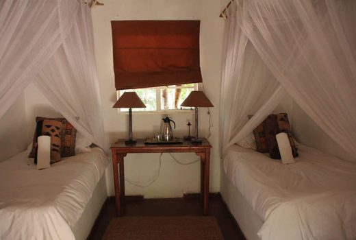Miombo Safari Camp