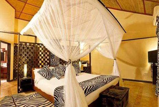 AfroChic Diani
