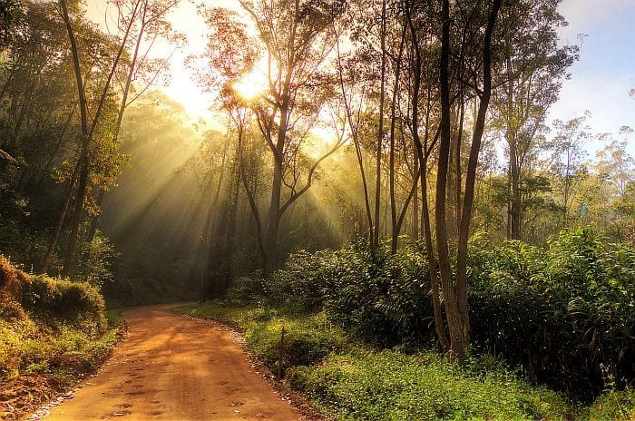 Madagascar attractions walking
