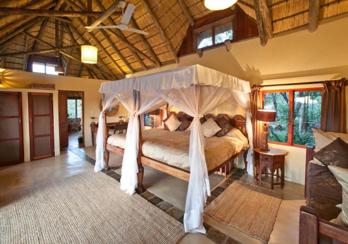 Cedarberg Travel | Ant's Hill