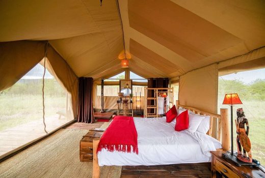 Asanja Moru Camp