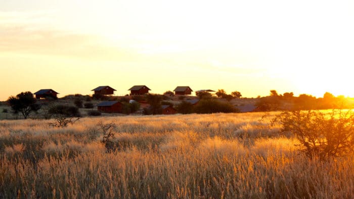 Cedarberg Travel | Bagatelle Kalahari Game Ranch