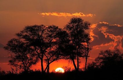 Where to go in Africa in May, June and July