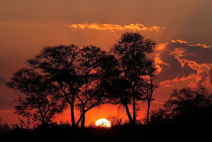 Botswana-Sunset-with-silhouetted-Africa-BS53270206