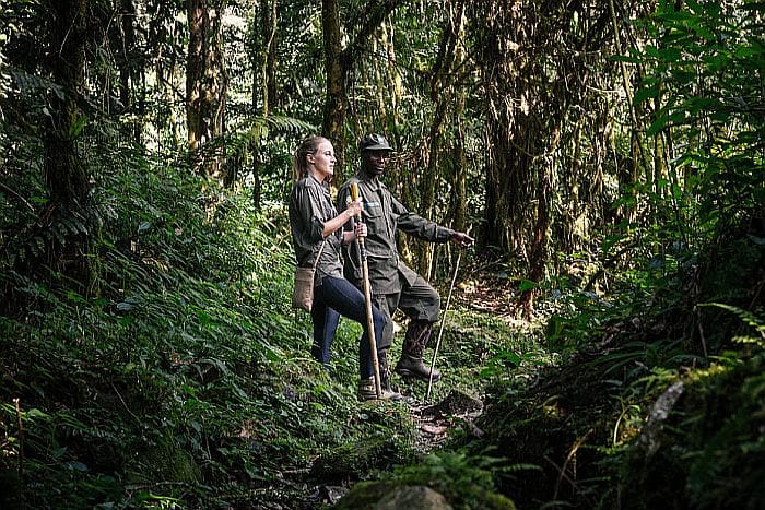 Bwindi impenetrable forest trekking with guide, gorilla tracking uganda