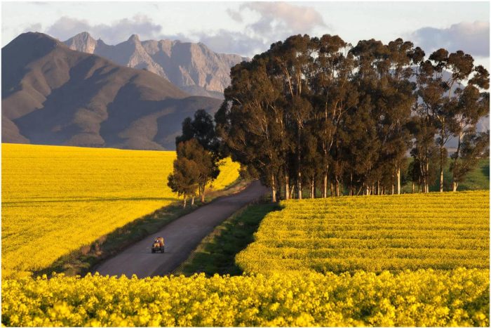 Cedarberg Travel | Bartholomeus Klip Farmhouse