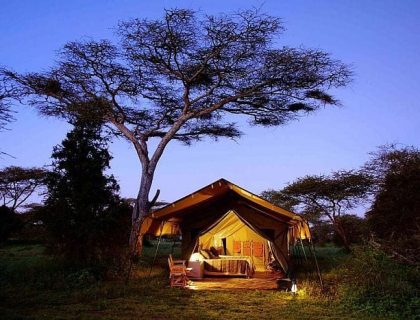Chada-Katavi-Ranger-Safaris-Tent-camp