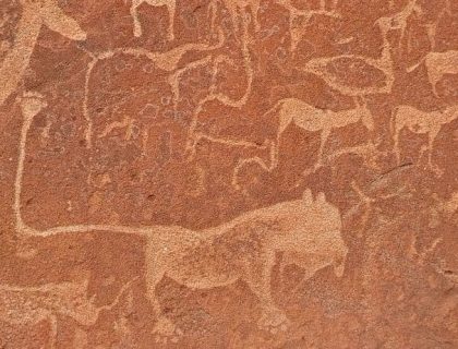 Our Top 10 Family Lodges in Namibia for an Unforgettable Adventure