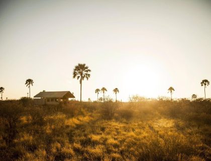 DavidCrookes_Camp_Kalahari_UnchartedAfrica_13-3133_21.jpg