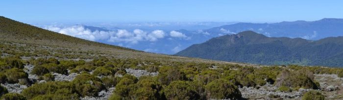 Cedarberg Travel | Bale Mountain Lodge Fly-In