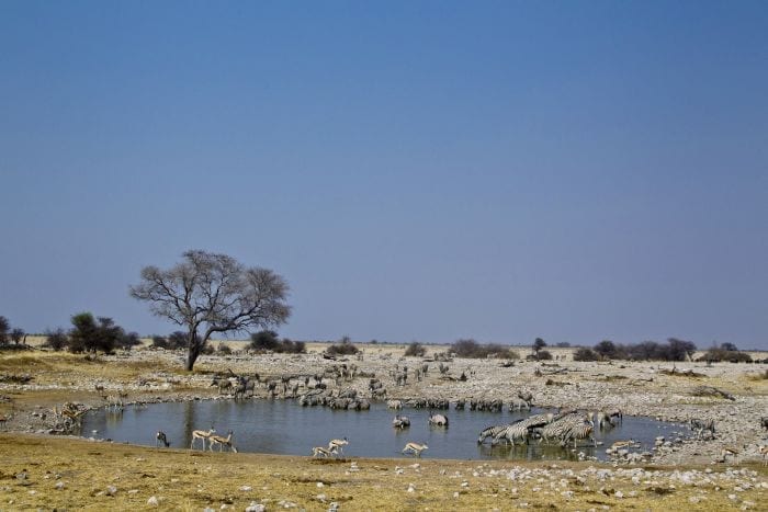Cedarberg Travel | Namibia in a Nutshell Safari