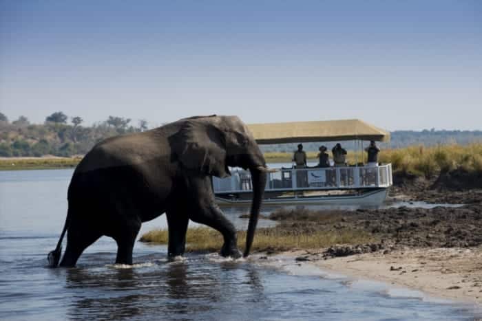 Cedarberg Travel | Botswana Superior Explorer Mobile Safari