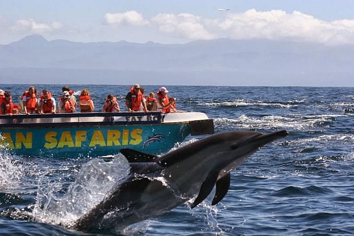Garden Route attractions - Ocean cruises at Plettenberg bay, things to do with children on the Garden Route