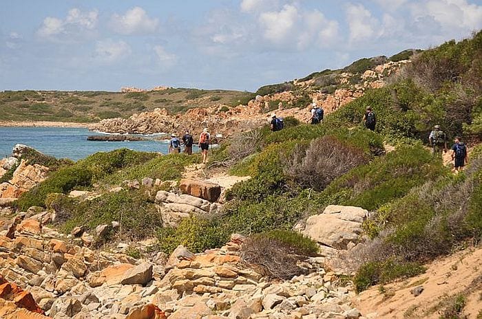 Walking the Oystercatcher trail, slackpacking walking tour on the Garden Route South Africa