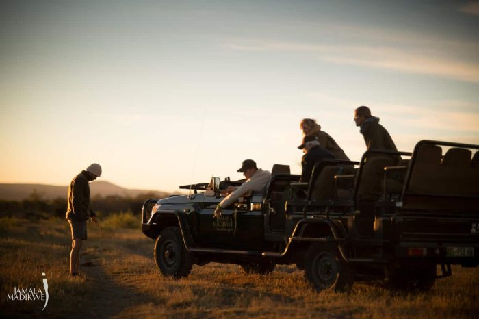 Cedarberg Travel | Jamala Madikwe Royal Safari Lodge