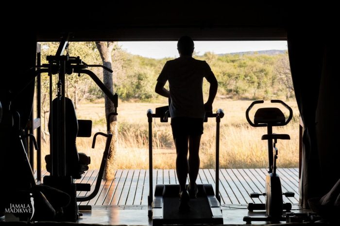 Cedarberg Travel | Jamala Madikwe Royal Safari Lodge