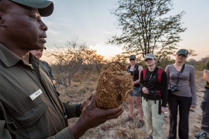 Cedarberg Travel | Africa on Foot Camp