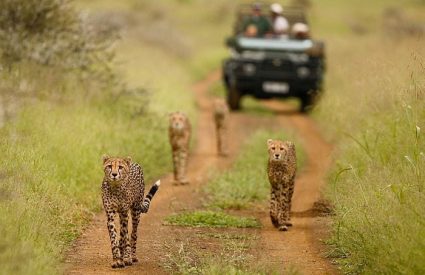 Our Top Ten Lodges in Namibia