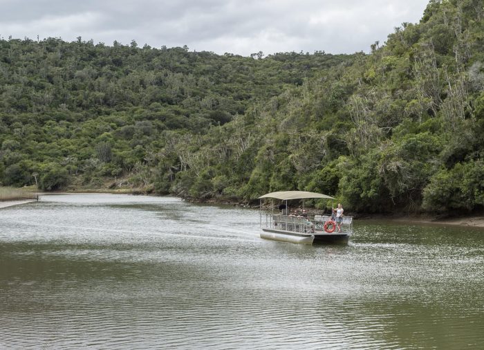 Cedarberg Travel | Eastern Cape Safari at Kariega