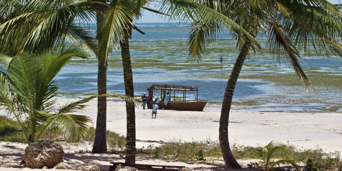 Cedarberg Travel | Porini Safari and Diani Beach