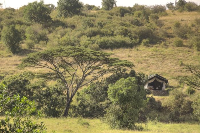 Cedarberg Travel | Kicheche Mara Camp