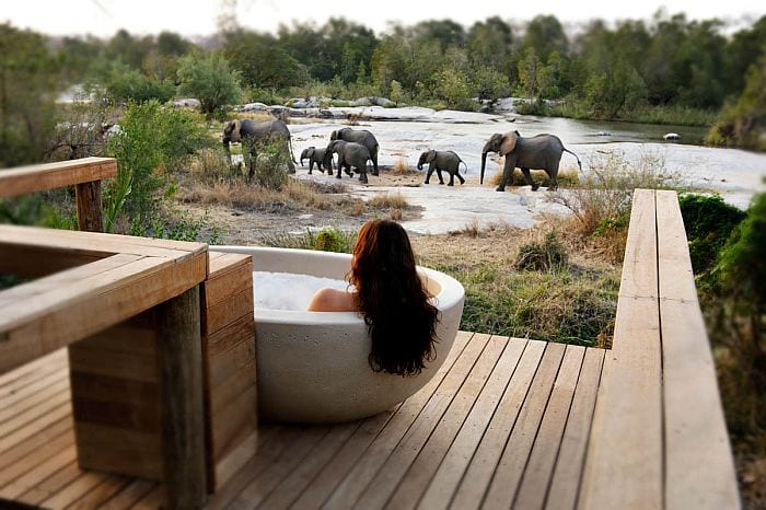 londolozi bath, safari & beach honeymoons in Africa