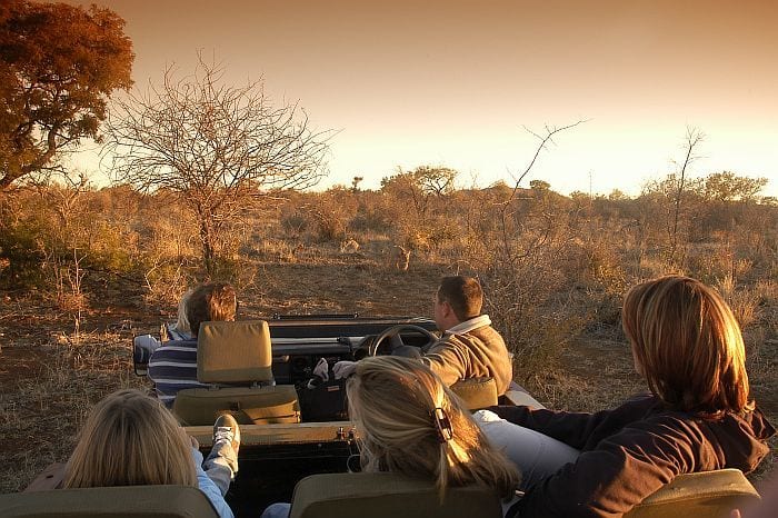kids on safari, Cape & Kruger family explorer safari
