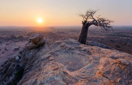 Where to Visit in South Africa: From Cape Town to Kruger