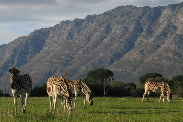 Cedarberg Travel | Bartholomeus Klip Farmhouse