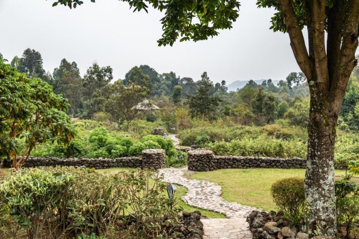 Cedarberg Travel | Mount Gahinga Lodge