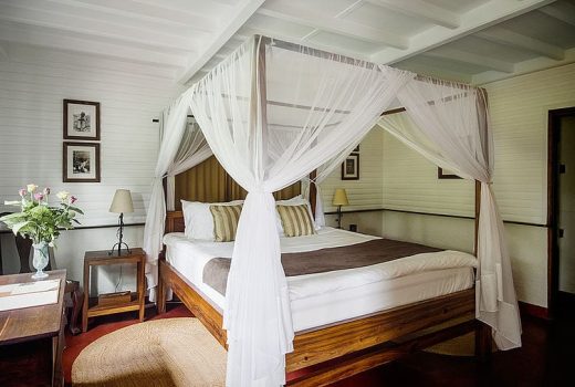 Mount Meru Game Lodge