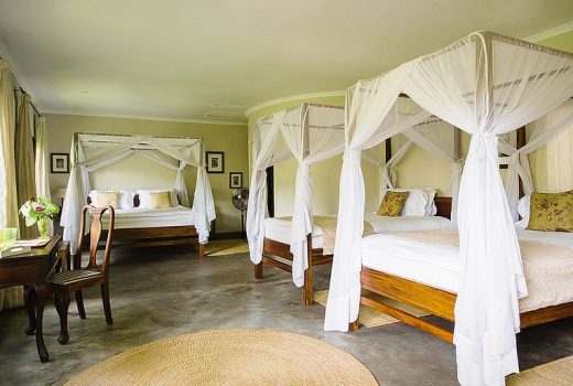 Mount Meru Game Lodge