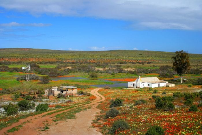 Namqualand countryside, tips for spring flower-viewing in Namqualand and Cederberg