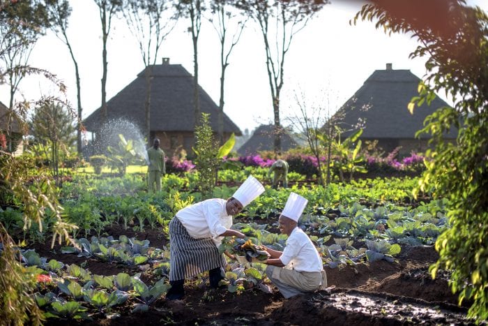 Cedarberg Travel | Neptune Ngorongoro Luxury Lodge