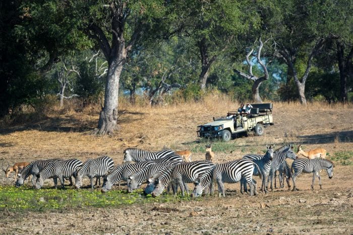 Cedarberg Travel | Zambia Family safari