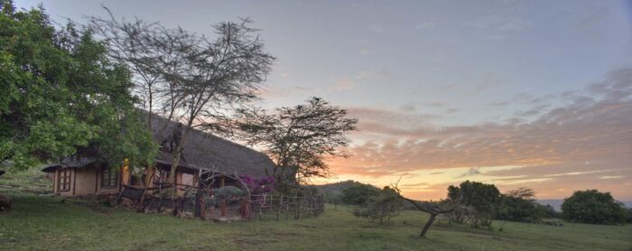 Cedarberg Travel | Saruni Mara