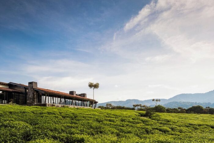 Cedarberg Travel | One&Only Nyungwe House