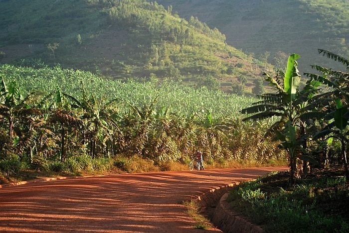 Rural road on Rwanda Mountain Snapshot safari