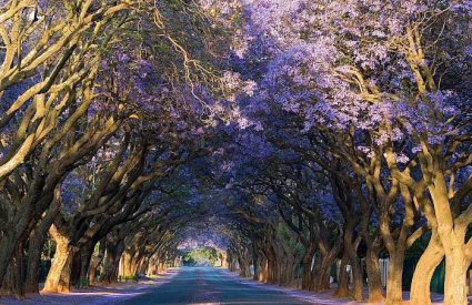 Adventurous Self-drive safari routes in South Africa & Namibia