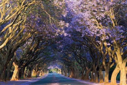 All you need (or want) to know about car rental in South Africa in 2025/6