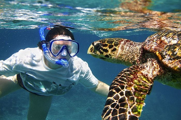 Seychelles diving